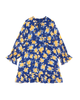 Rosemont Chiffon Long Sleeve Dress - thumbnail