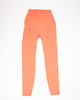 Classic Venus High Waisted Legging - Limited Editions - thumbnail
