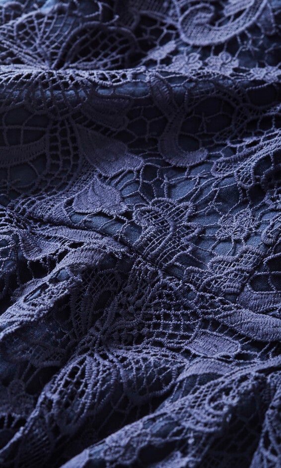 Scarlet Lace Dress - navy, BLUE, alternate image number 5