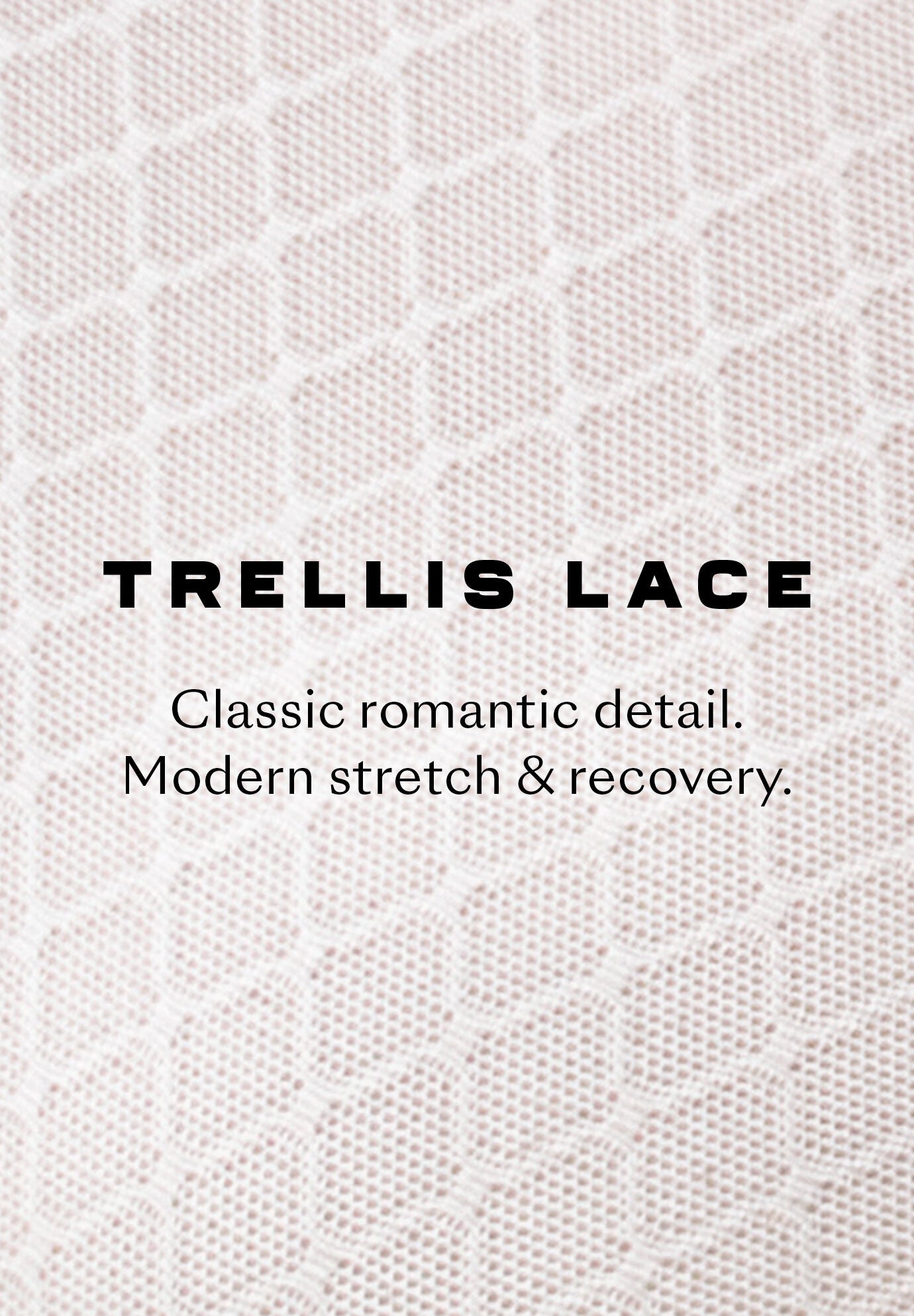 The Highwaist - Trellis Lace, SALT, alternate image number 10