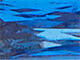 Priya Birthstone Tennis Bracelet, SEPTEMBER, alternate image number 2