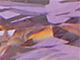 Priya Birthstone Tennis Bracelet, FEBRUARY, alternate image number 2
