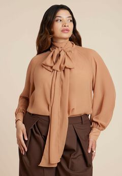 Sheer Neck Tie Blouse