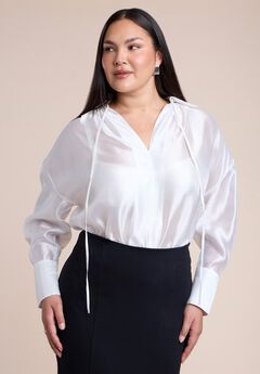 Sheer Blouse With Open Neck