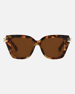 Paige Polarized Sunglasses