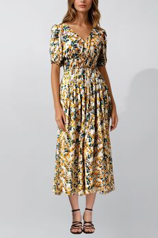 Sophie Maxi Dress Fit & Flare Citrus Print