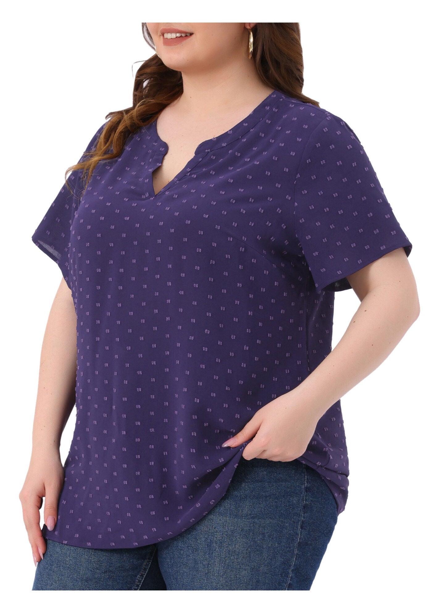 Swiss Dots Notched Neck Short Sleeve Basic Blouse, Dark Blue Purple / Purple, alternate image number 1