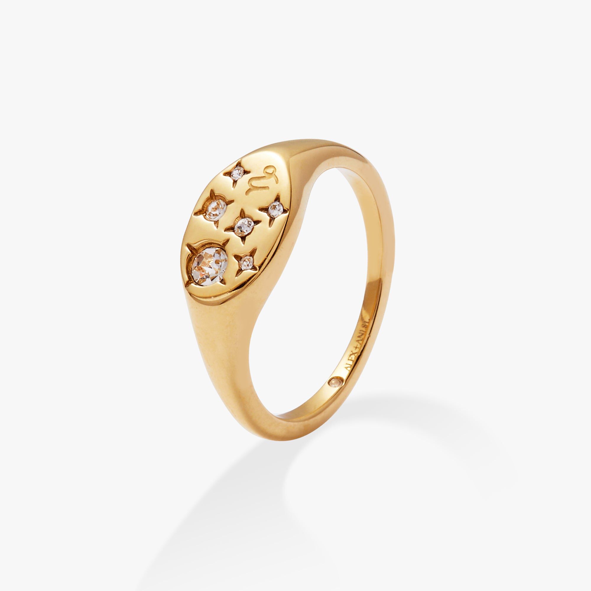 Capricorn Zodiac Ring, Gold  Capricorn / Gold, alternate image number 1