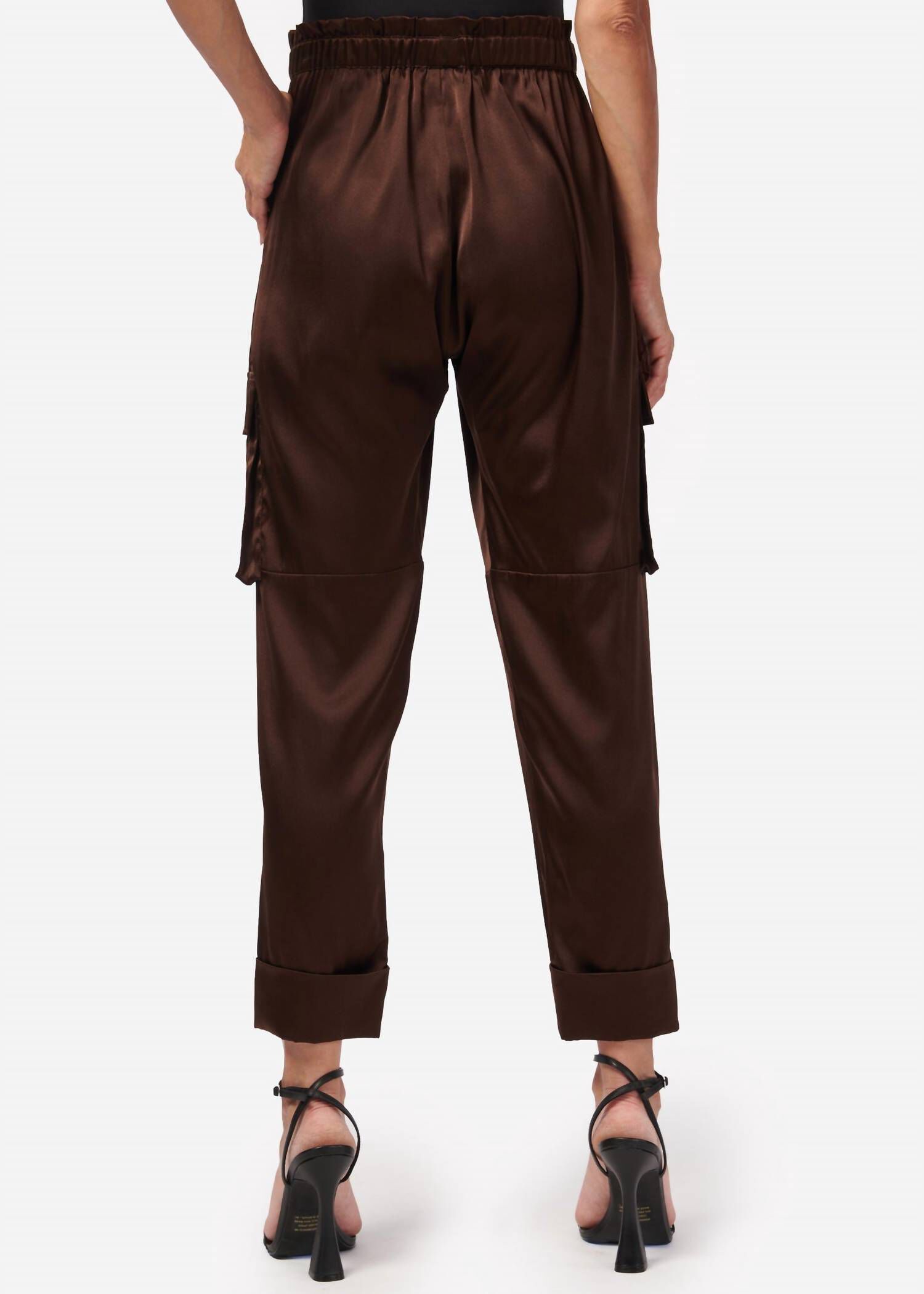 CARMEN CARGO PANT IN CLOVE, , alternate image number 4