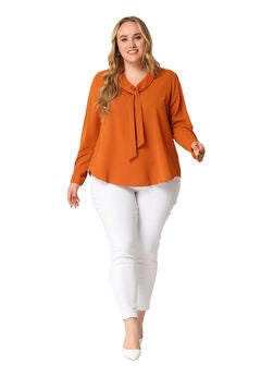 Long Sleeve Tie V Neck Chiffon Blouse