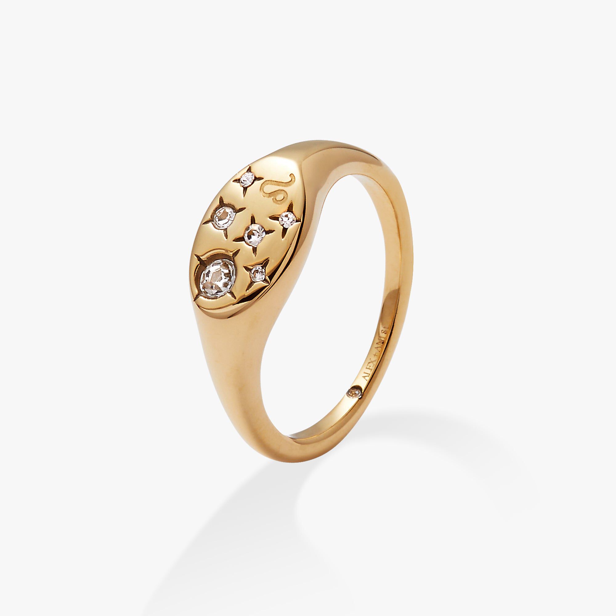 Capricorn Zodiac Ring, Gold  Leo / Gold, alternate image number 1
