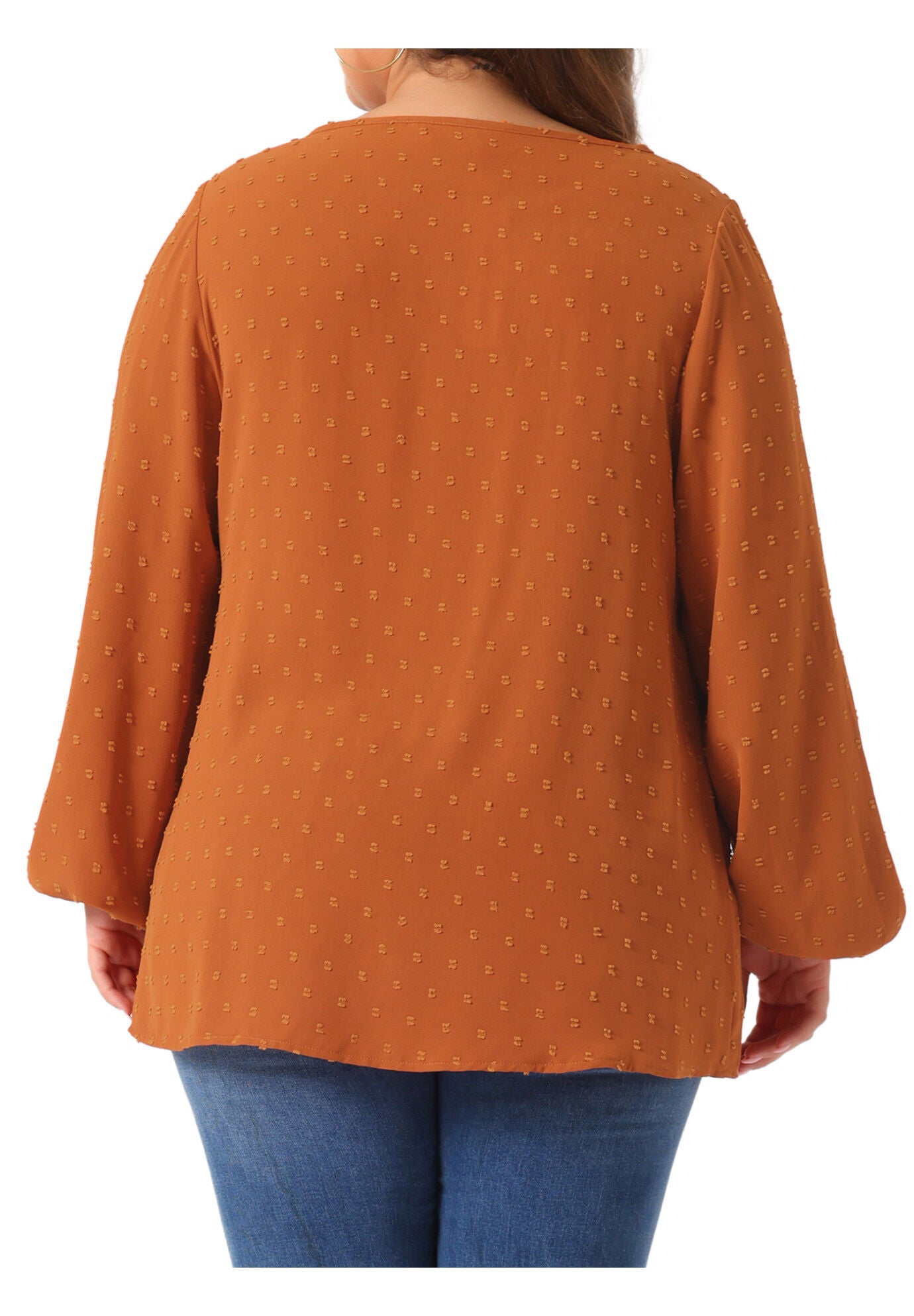 Crewneck Chiffon Blouses Swiss Dots Long Sleeve Top, Caramel / Brown, alternate image number 4