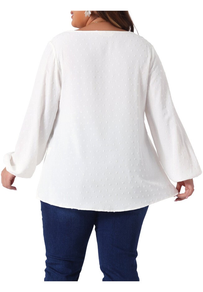 Crewneck Chiffon Blouses Swiss Dots Long Sleeve Top, White / White, alternate image number null