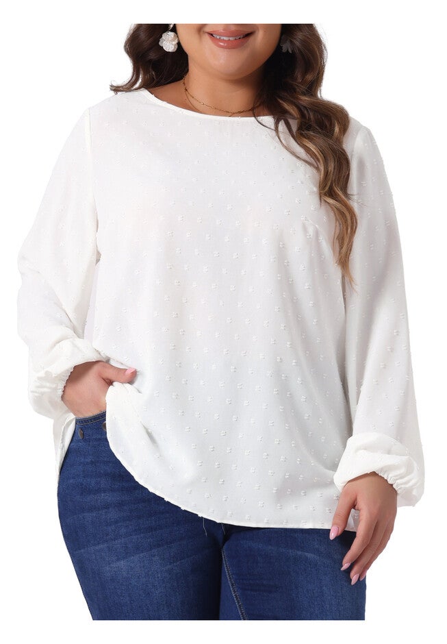 Crewneck Chiffon Blouses Swiss Dots Long Sleeve Top, White / White, alternate image number null