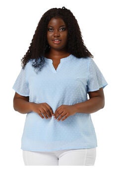 Swiss Dots Notched Neck Short Sleeve Basic Blouse