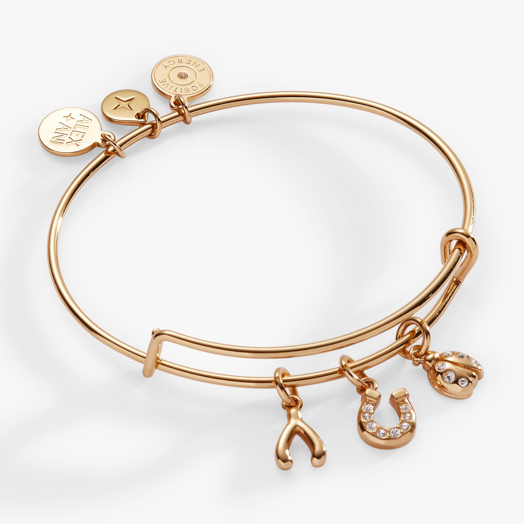 Love and Luck Multi-Charm Bangle, Gold / Gold, hi-res image number 0