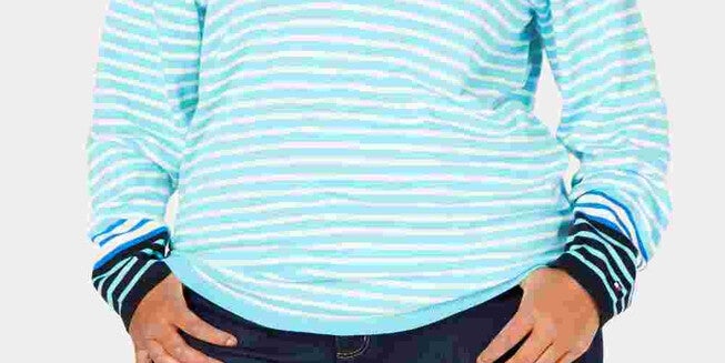 Tommy Hilfiger Cotton Striped V Neck Sweater Blue Size 0X, , alternate image number 5