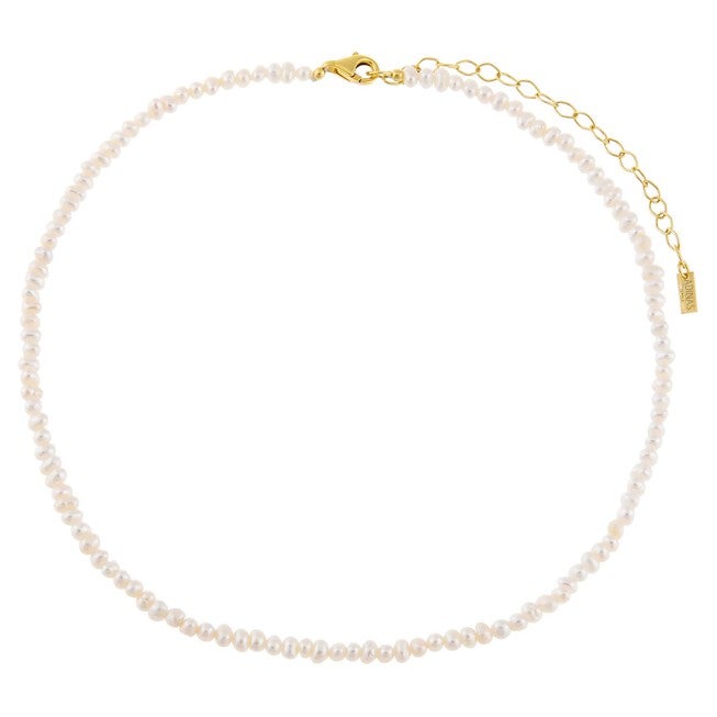 Tiny Pearl Choker Pearl White One Size, Pearl White / White, alternate image number null