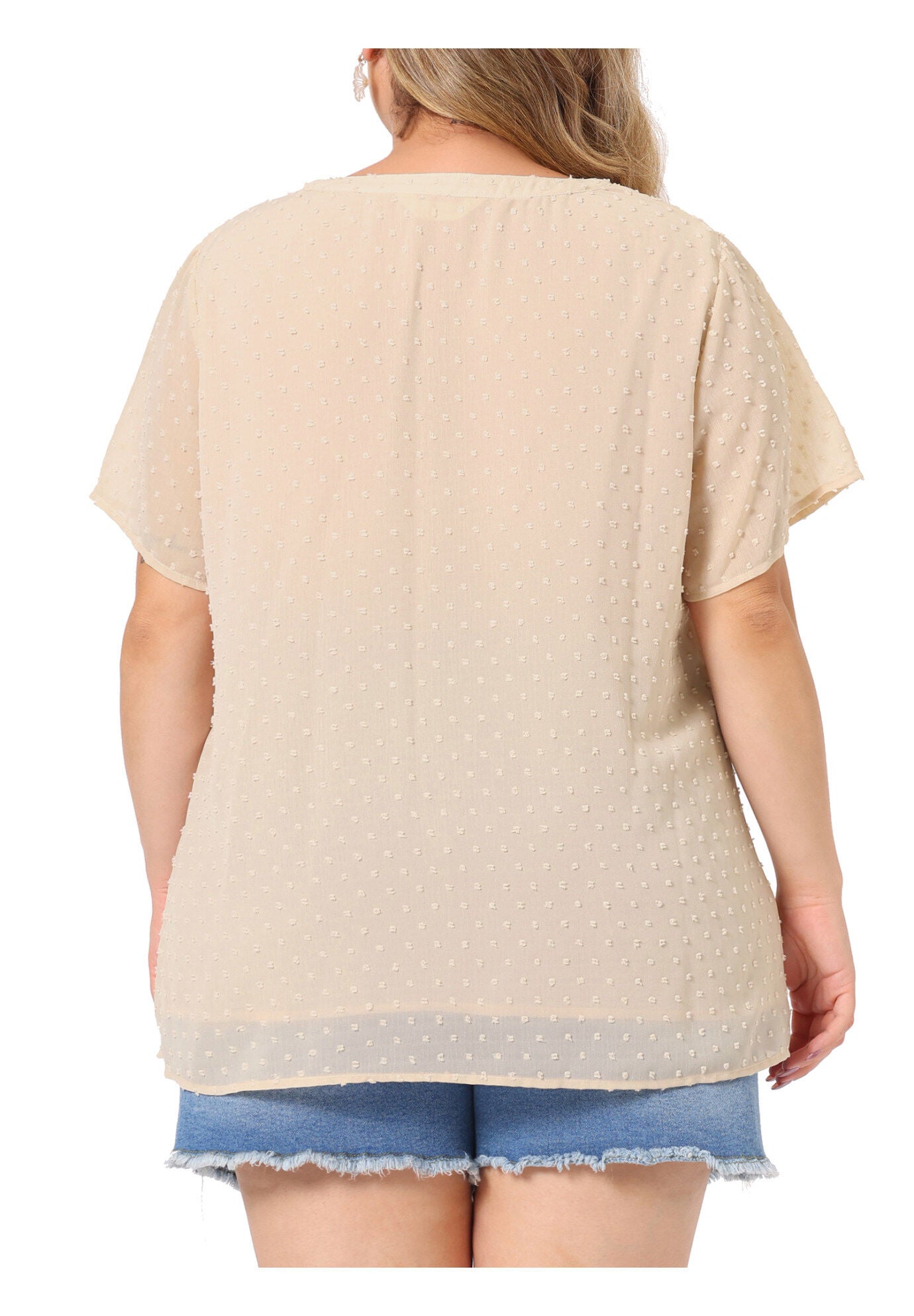 Swiss Dots Notched Neck Short Sleeve Basic Blouse, Beige / Beige, alternate image number 3