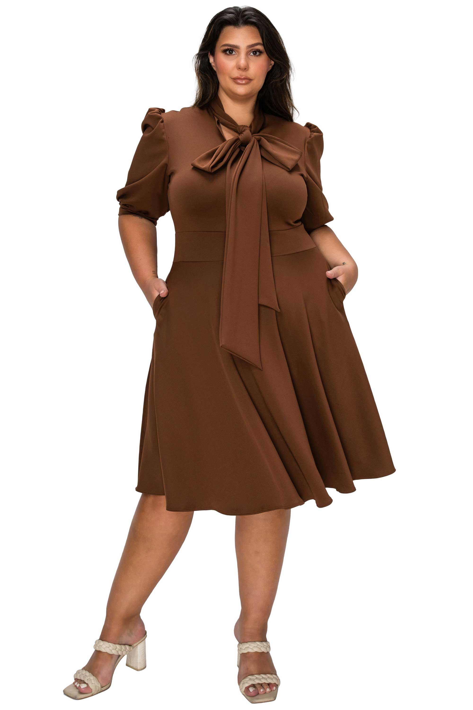 Carina Donna Pocket Dress, Brown / Brown, hi-res image number 0
