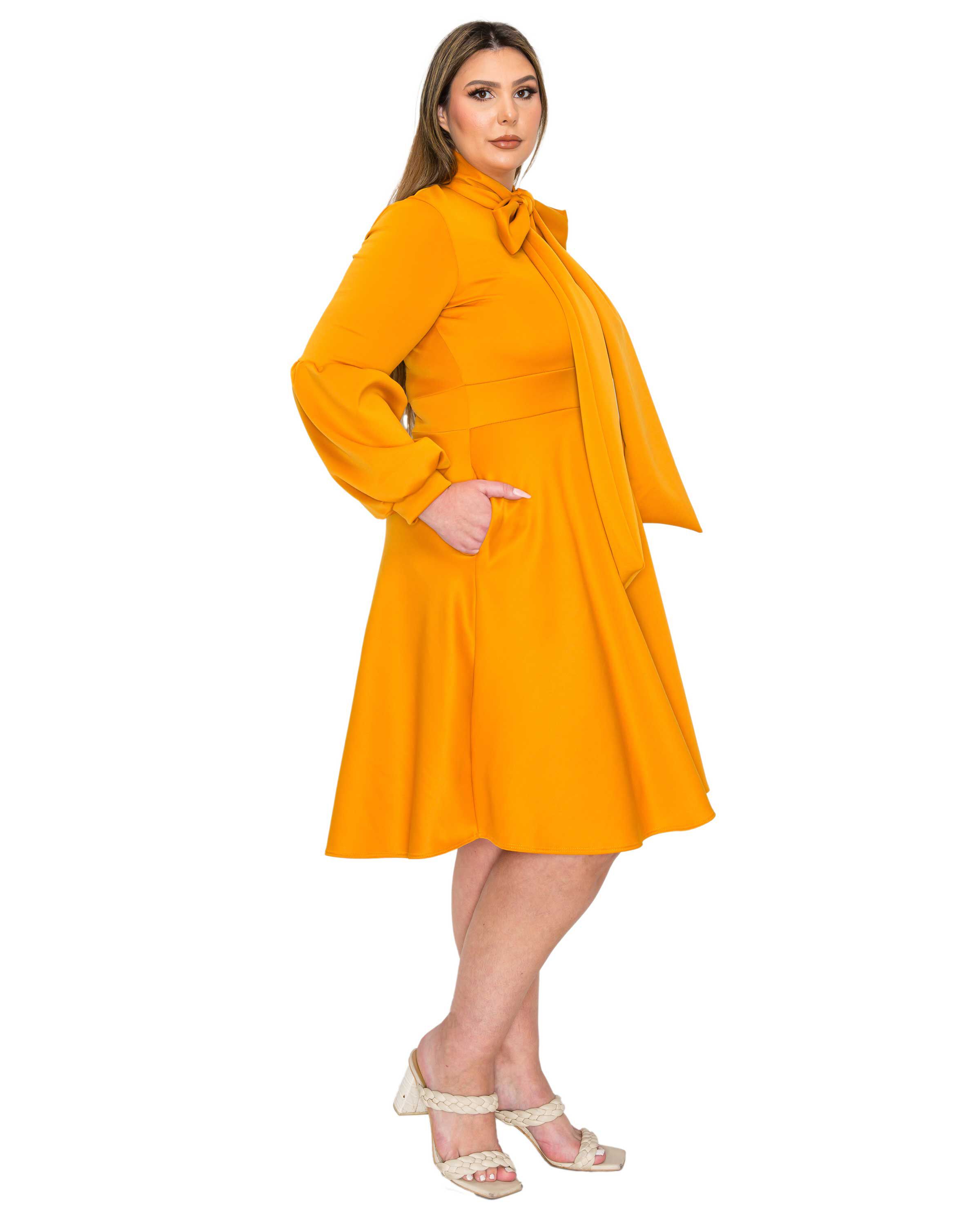 Bekah Flare Pocket Dress, Mustard / Mustard, alternate image number 1