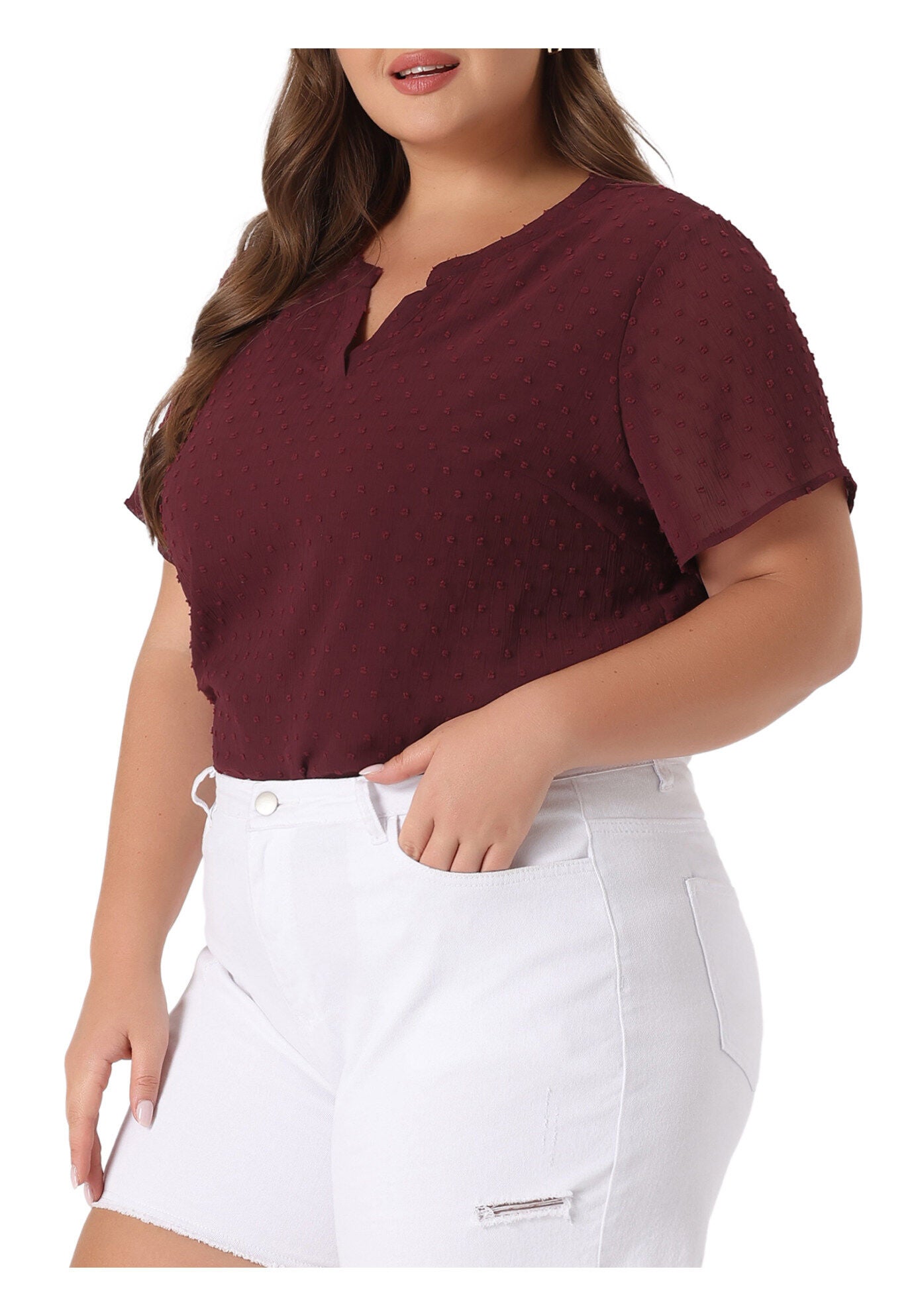 Swiss Dots Notched Neck Short Sleeve Basic Blouse, Burgundy / Burgundy, alternate image number 1