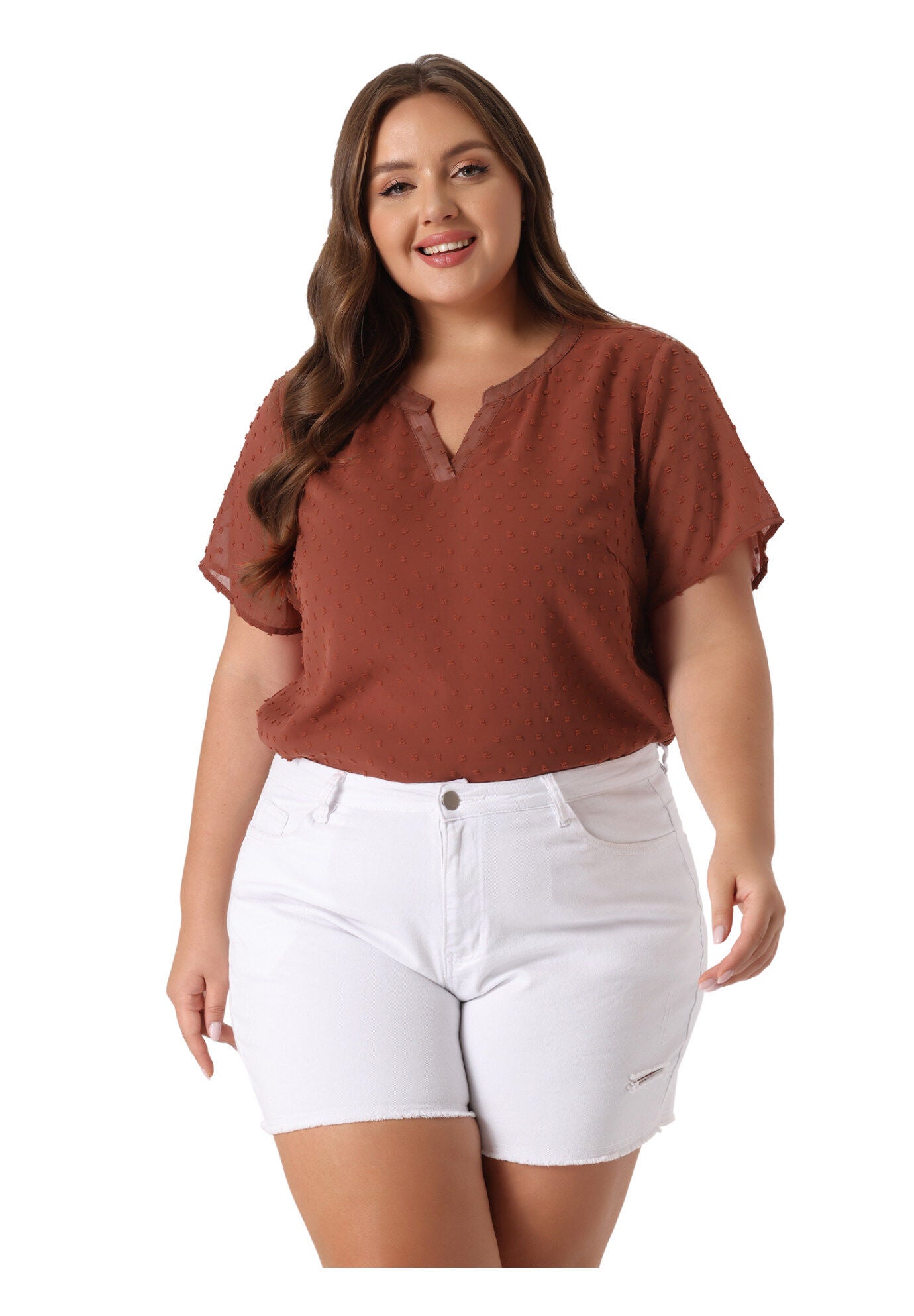 Swiss Dots Notched Neck Short Sleeve Basic Blouse, Caramel / Brown, hi-res image number 0