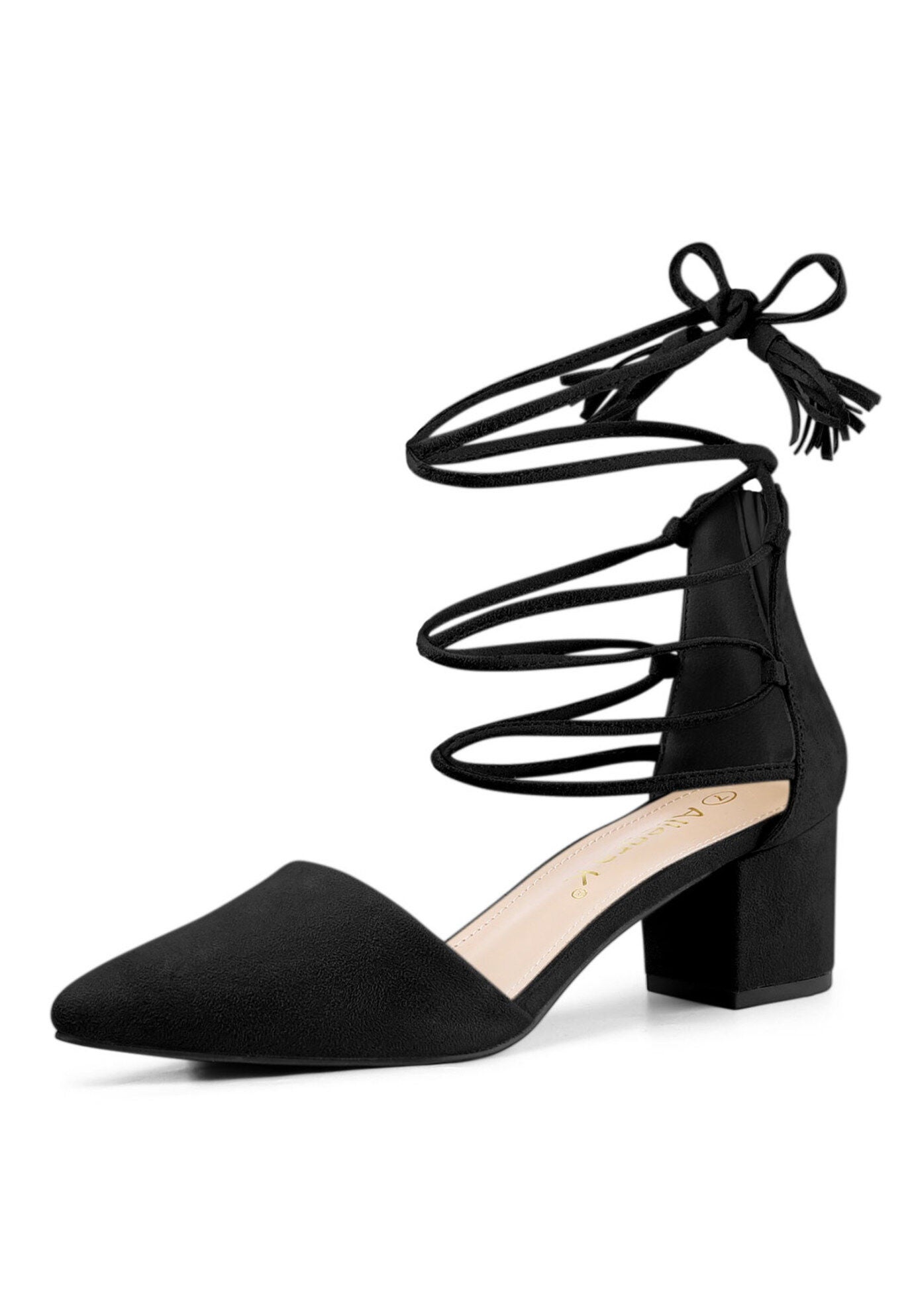 Pointed Toe Block Heels Lace Up Pumps, Black / Black, hi-res image number 0