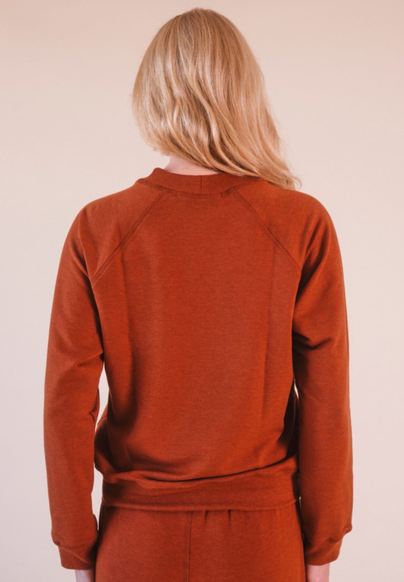 Plus Agnes Raglan Organic Cotton + Tencel Sweatshirt, Rust / Rust, alternate image number 2