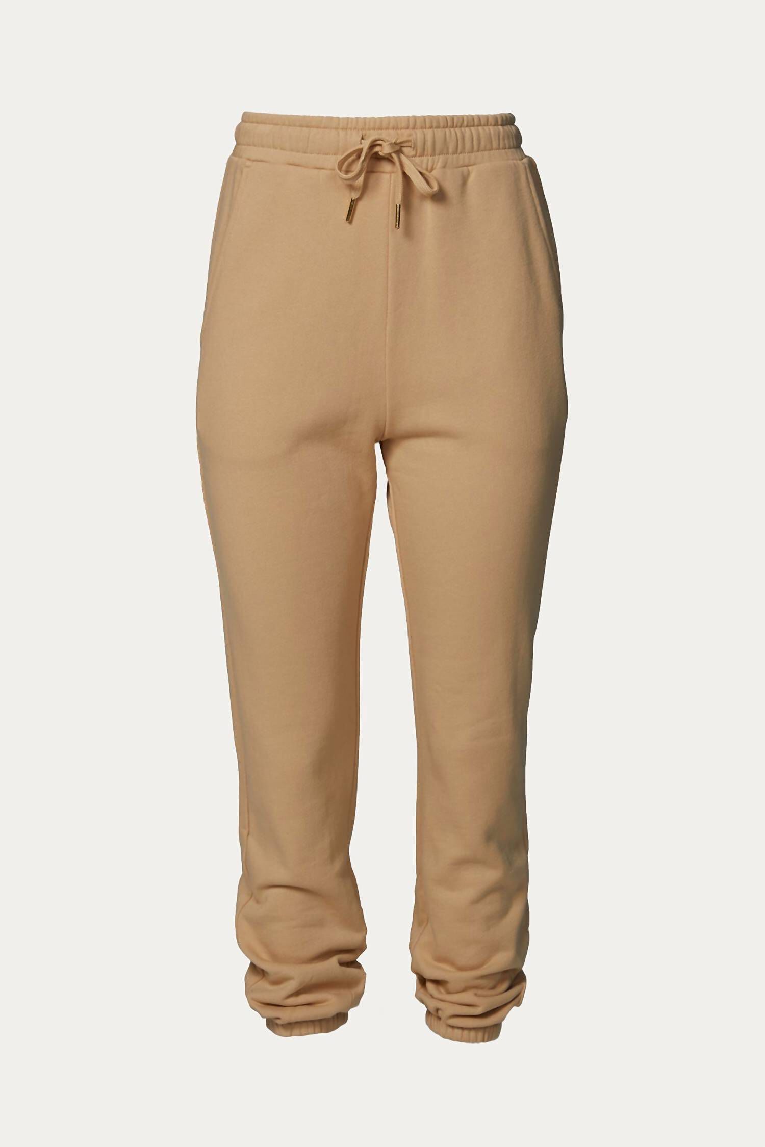 Sweatpants Jogger in Tan, , alternate image number 1