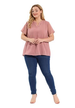 Swiss Dots Notched Neck Short Sleeve Basic Blouse