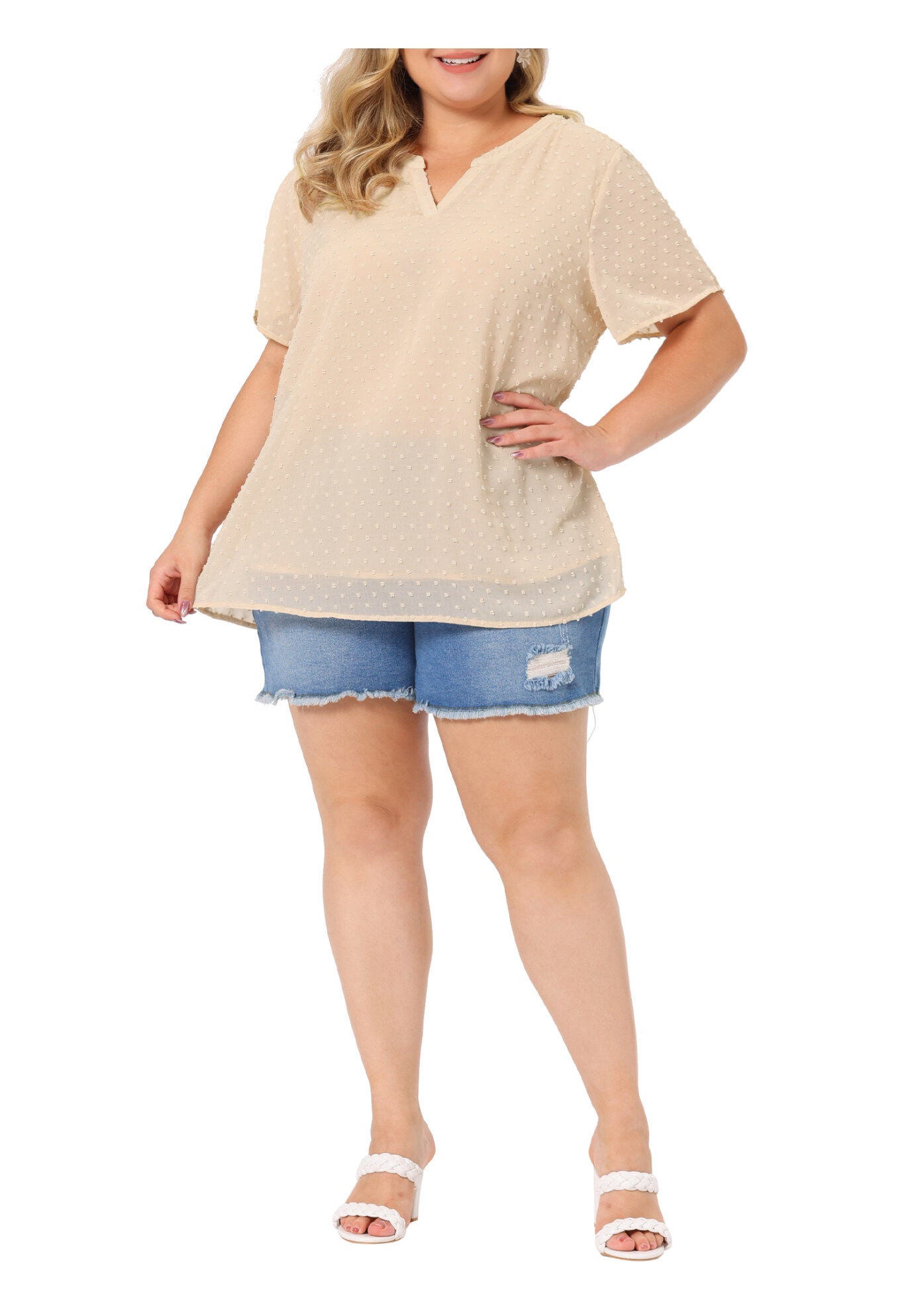 Swiss Dots Notched Neck Short Sleeve Basic Blouse, Beige / Beige, alternate image number 1