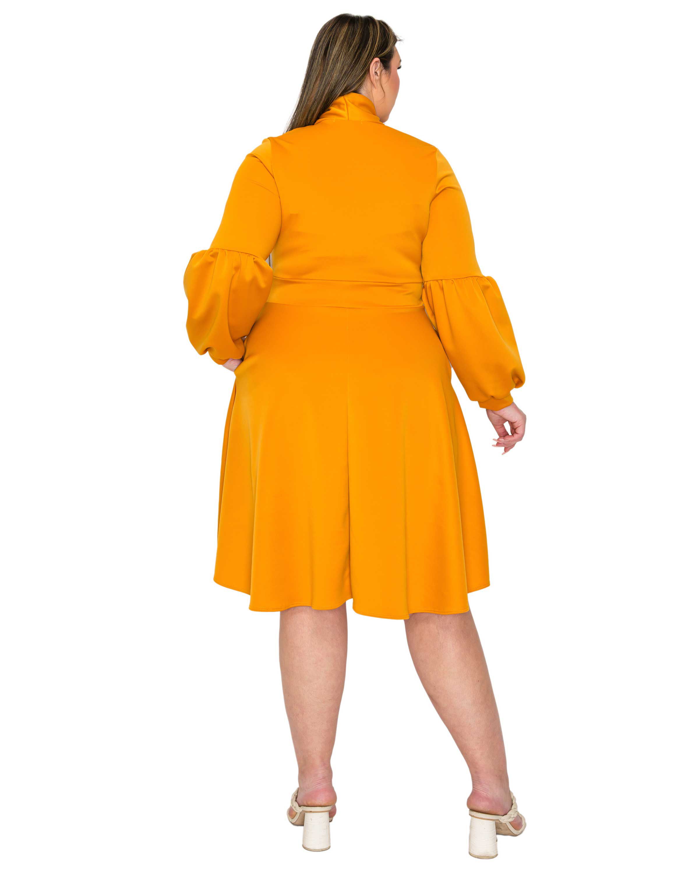 Bekah Flare Pocket Dress, Mustard / Mustard, alternate image number 2
