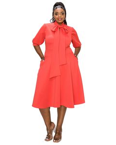Carina Donna Flare Dress w/ Pockets