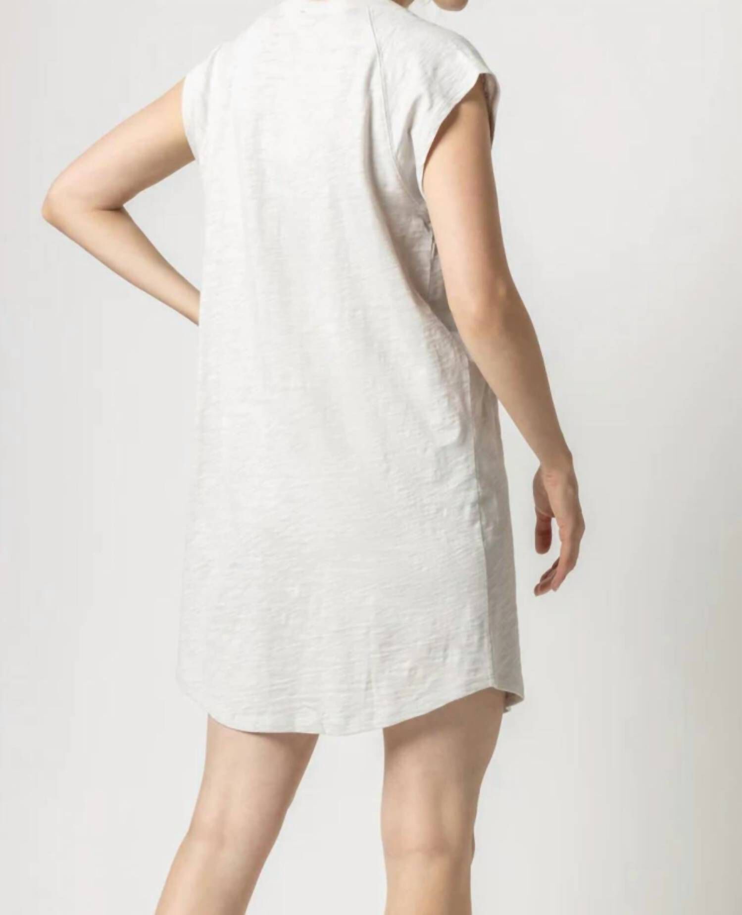 V-NECK SHORT SLEEVE RAGLAN DRESS IN BONE, , alternate image number 3