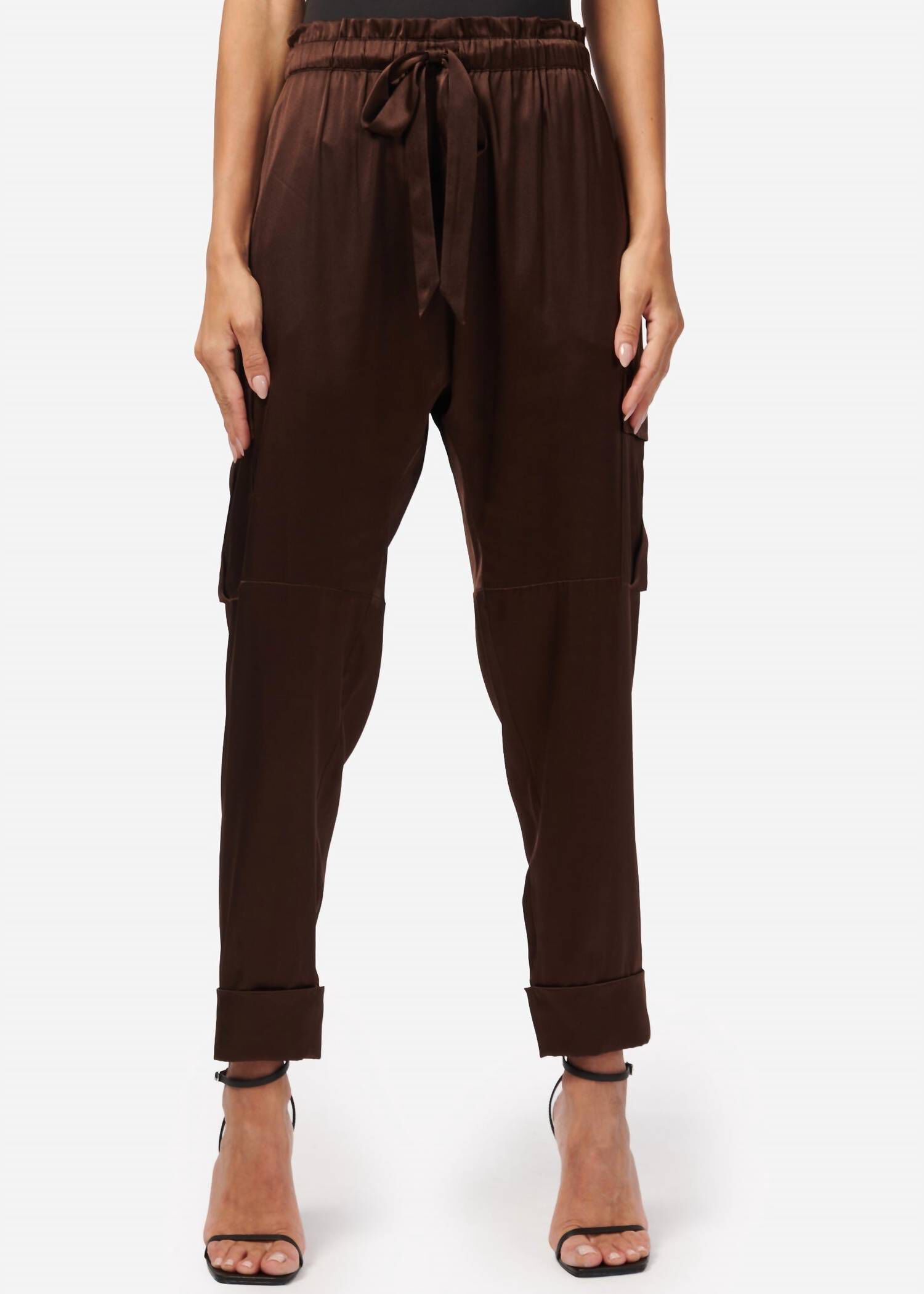 CARMEN CARGO PANT IN CLOVE, Clove / Brown, hi-res image number 0