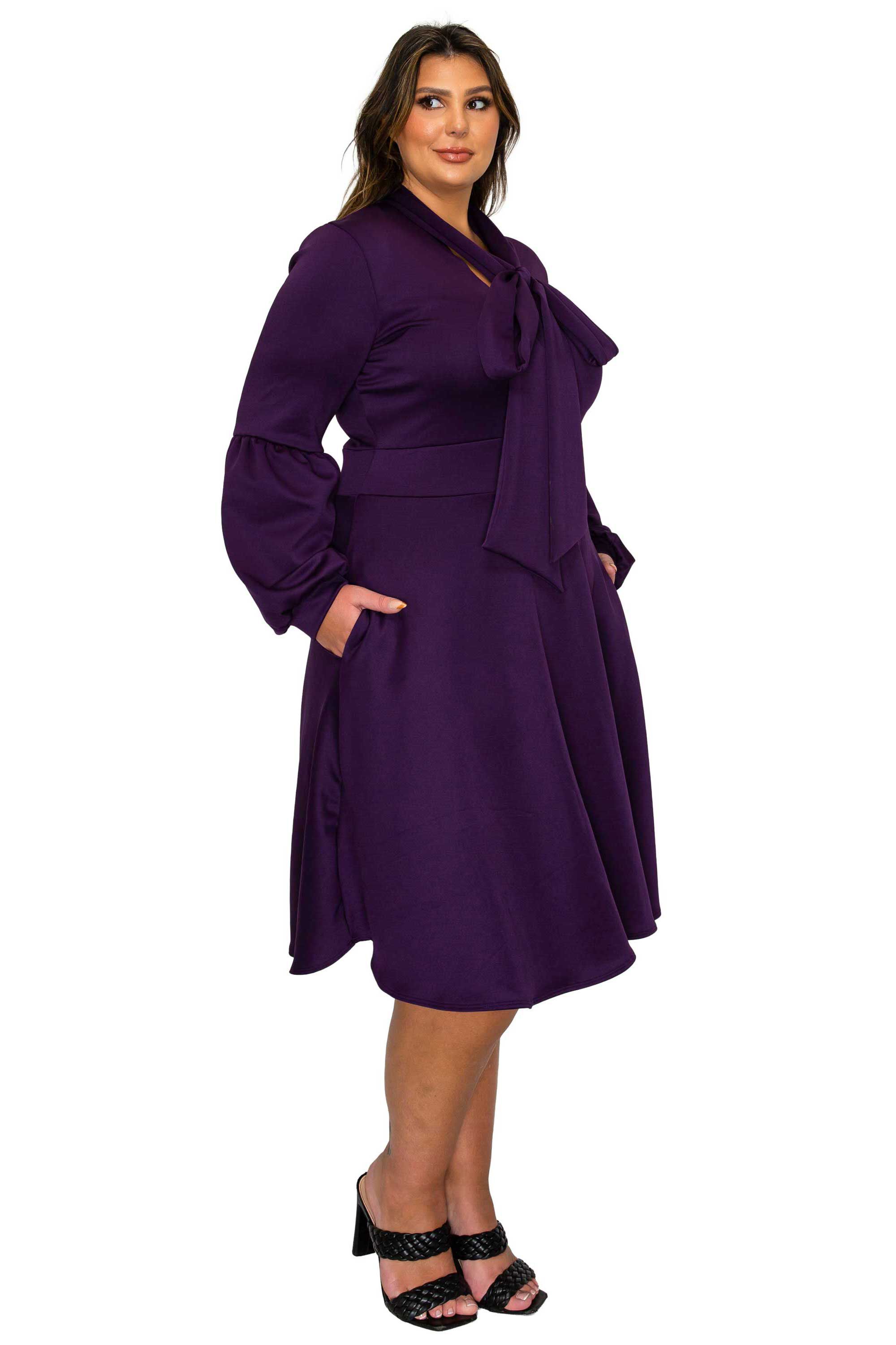 Bekah Flare Pocket Dress, Dark Eggplant / Purple, alternate image number 1