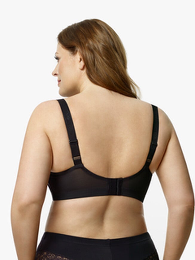 Stretch Lace Softcup Bra, , alternate image number 1
