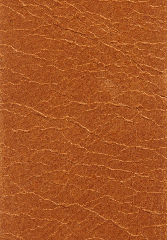 Sienna Belt, Cognac / Tan, alternate image number 1