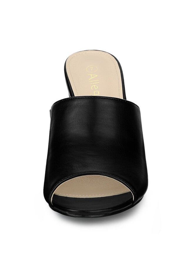 Slip On Block Heel Slide Sandals, Black / Black, alternate image number 2