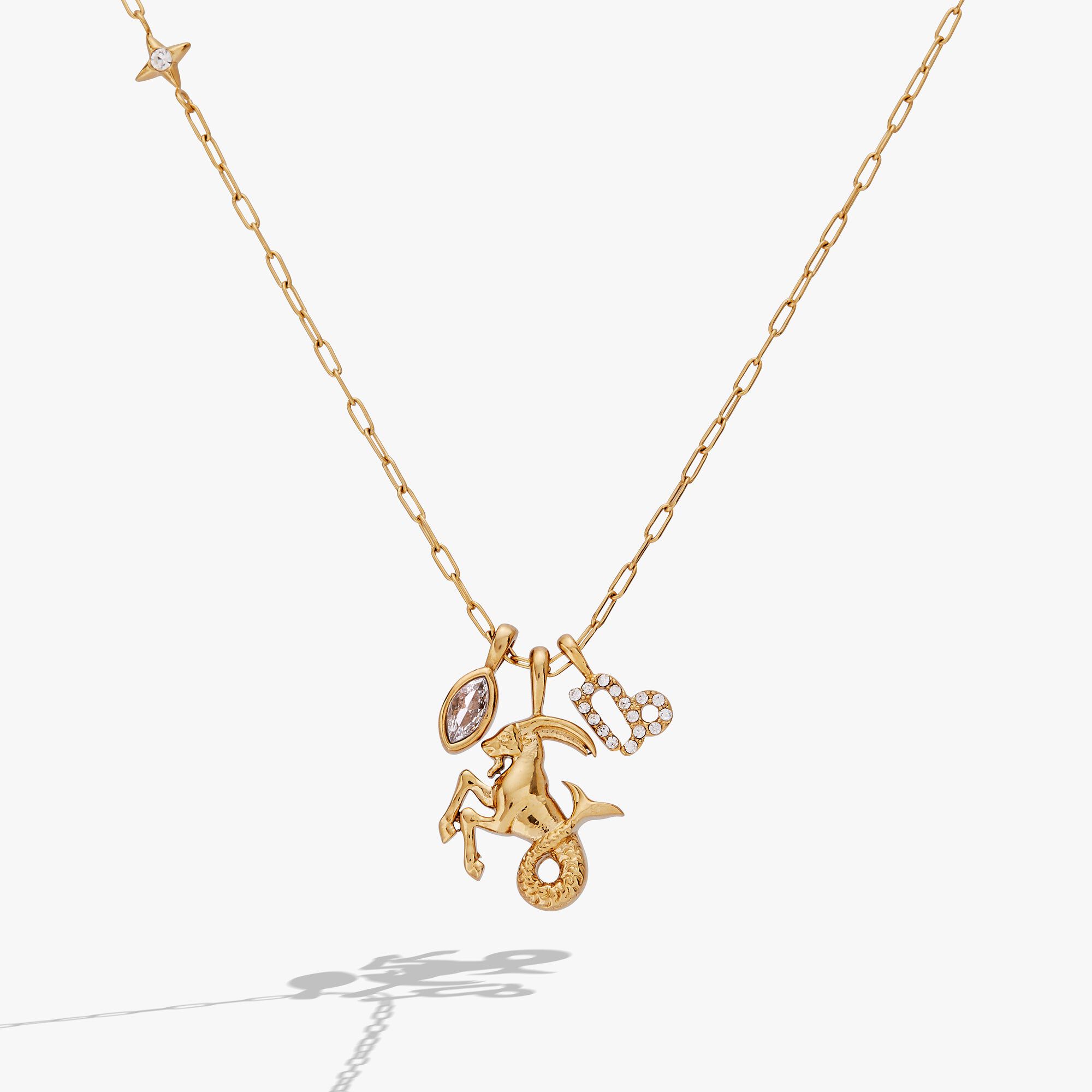Zodiac Charm Cluster, Capricorn / Gold, hi-res image number 0