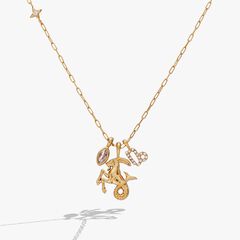Zodiac Charm Cluster