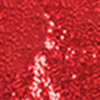 Sleeveless Sequined Tank Top With Combo Banding, , alternate image number 5