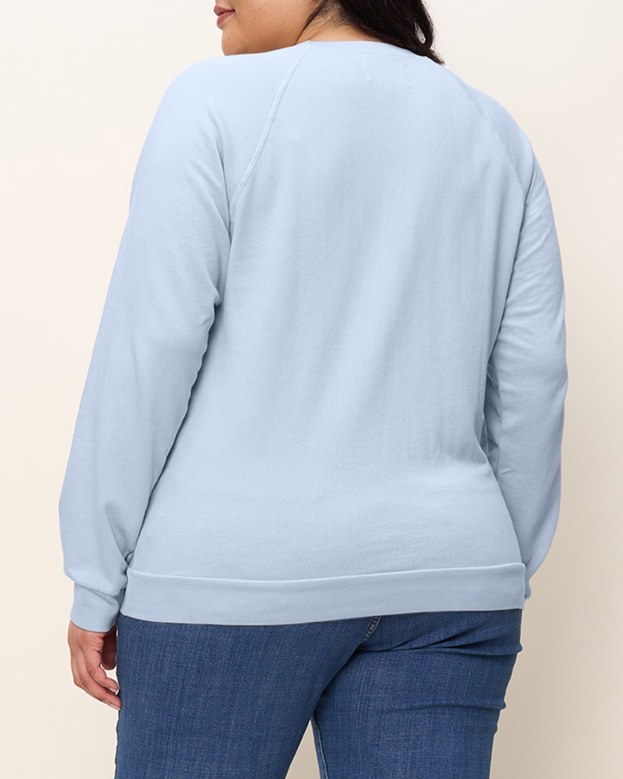 The Raglan Sweatshirt, Sky Blue / Light Blue, alternate image number 3