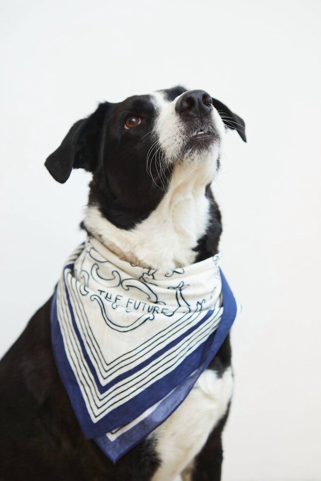 THE FUTURE IS BRIGHT BANDANA SCARF IN BLUE/WHITE, BlueWhite / White, alternate image number null