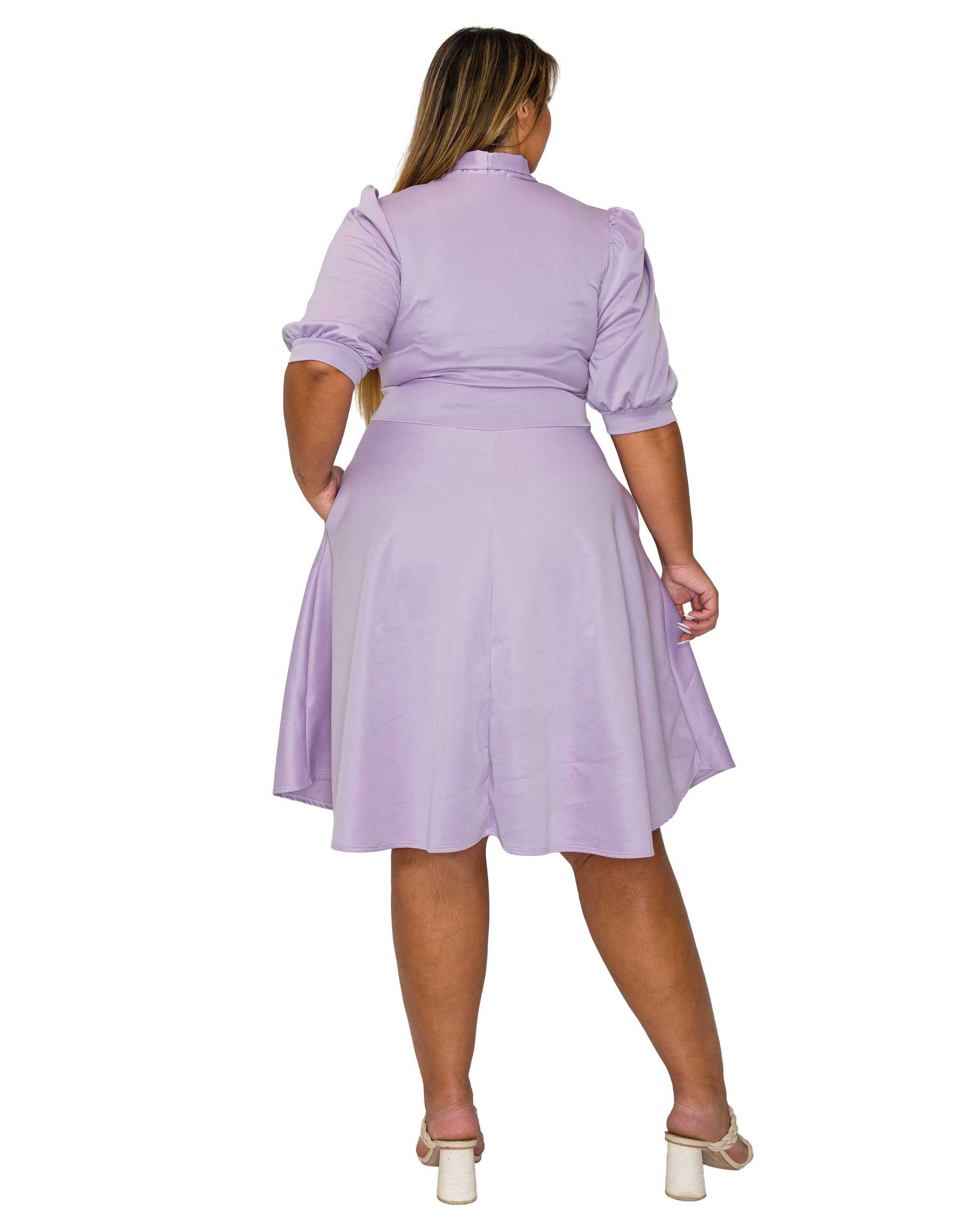Carina Donna Flare Dress w/ Pockets, Lilac / Lilac, alternate image number 2