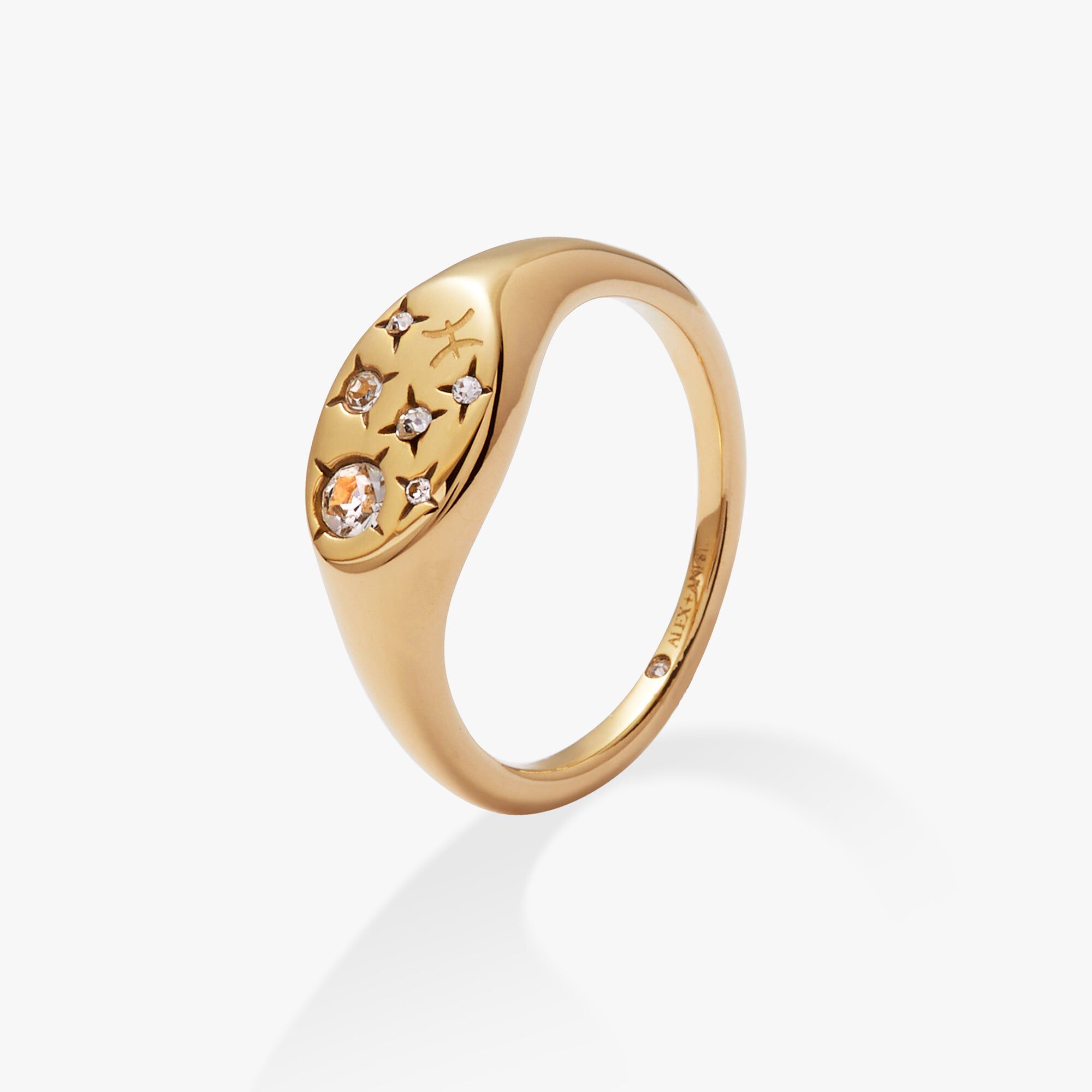 Capricorn Zodiac Ring, Gold  Pisces / Gold, alternate image number 1