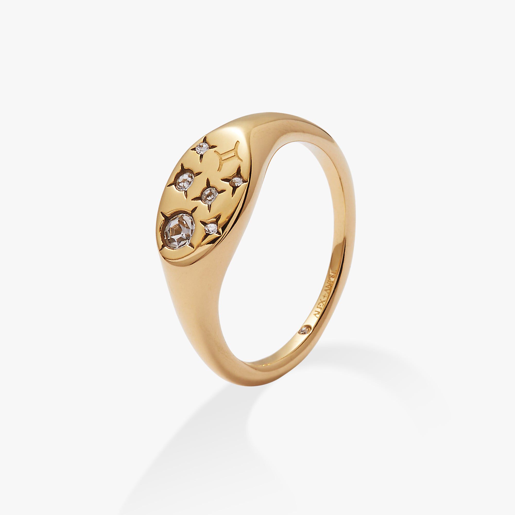 Capricorn Zodiac Ring, Gold  Gemini / Gold, alternate image number 1