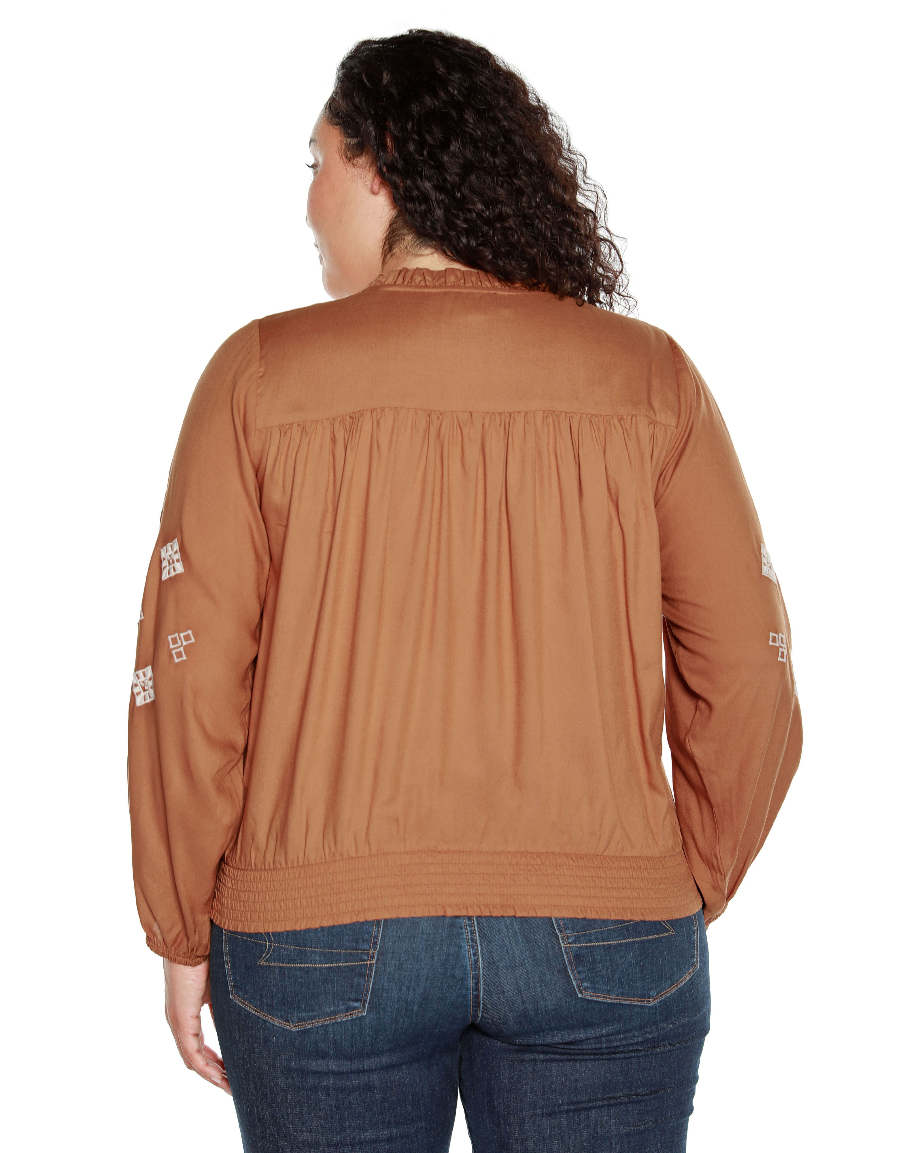 EMBROIDERED BLOUSON SLEEVE V-NECK BLOUSE, Iced Latte / Brown, alternate image number 1