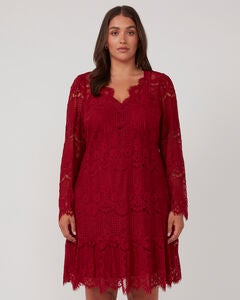 Mini Lace Frill Dress
